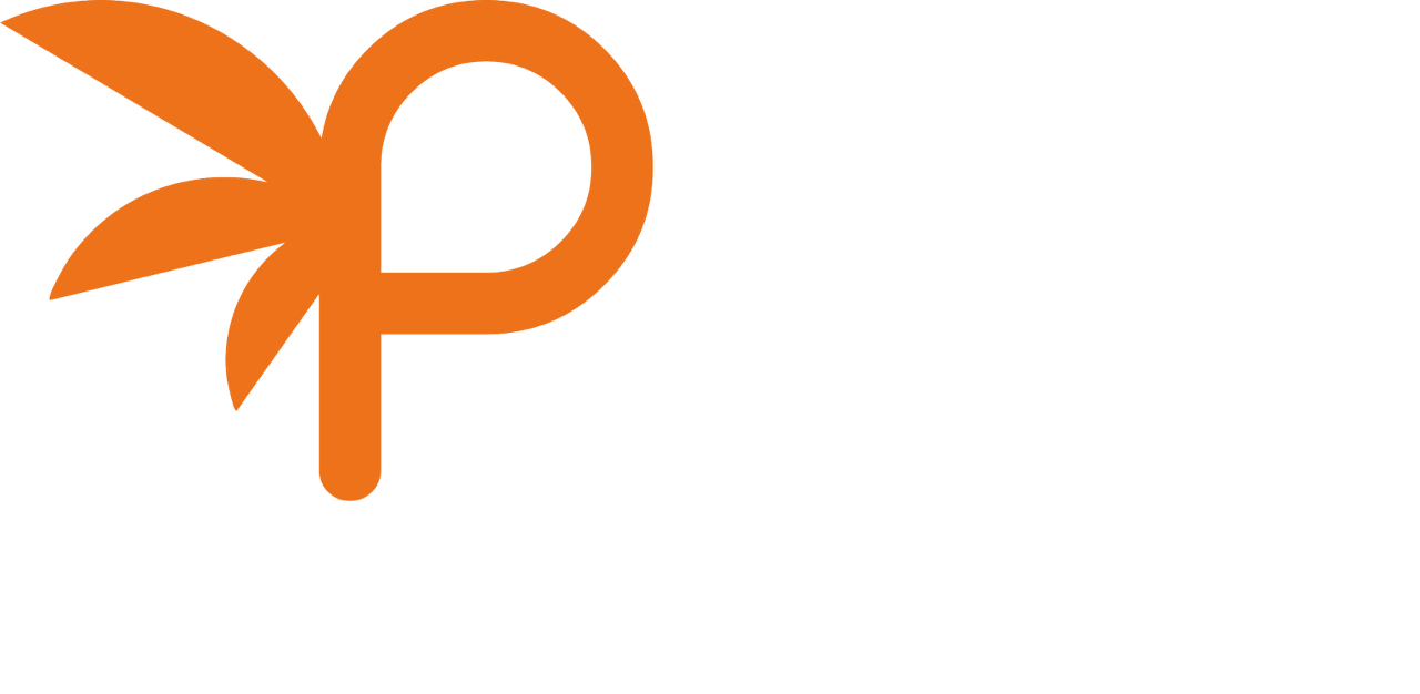 Palm Production